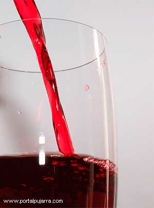 el vino Curso de hostelería Alpujarra
