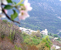 tiempo en la Alpujarra