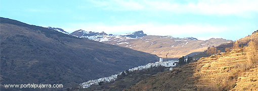 La imbecilidad politica y La Alpujarra