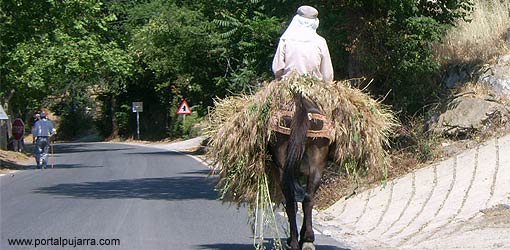 Articulos de la Alpujarra informacion noticias