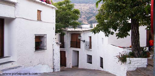 Calle del Ayuntamiento de Capileira