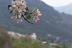 vista fotos Casa Julio Alpujarra