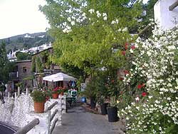 La Alpujarra