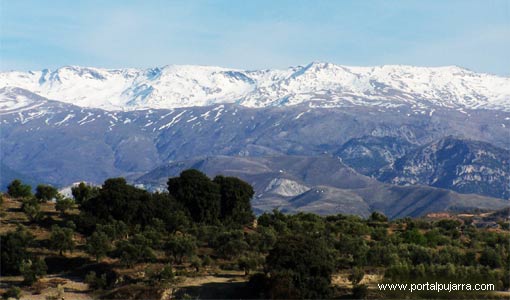 Cumbres nevadas Alpujarra