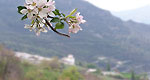 turismo rural alpujarra