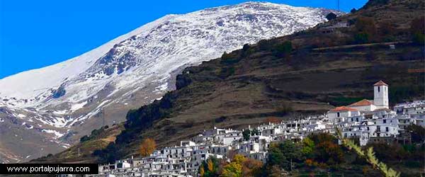 Foro y opiniones de Alpujarra