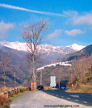 tamaño dimensiones alpujarra