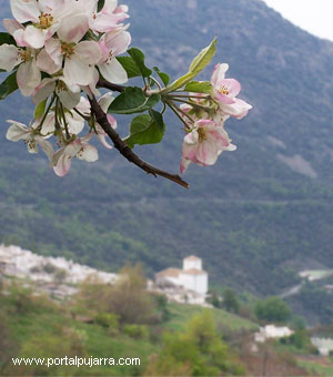 paisaje situacion alpujarra