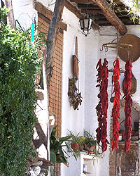 alpujarra turismo