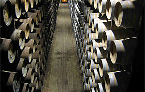 Bodega vino de María La Alpujarra